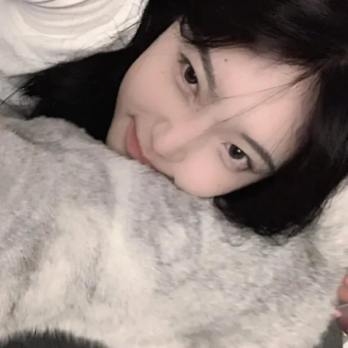 黑猫白猫